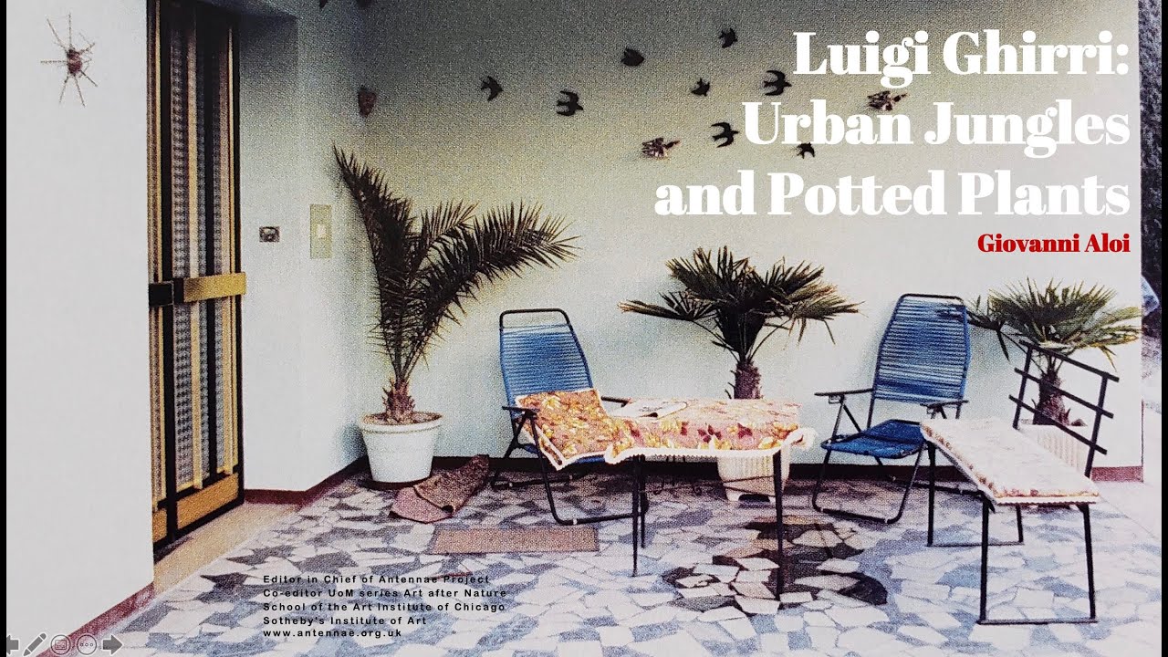 Luigi Ghirri: Urban Jungles and Potted Plants