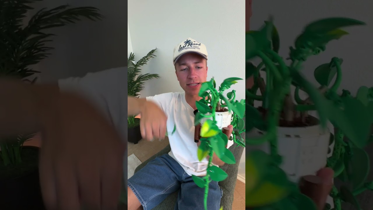 Новые растения от LEGO выглядят ЛУЧШЕ вот так 🔥
