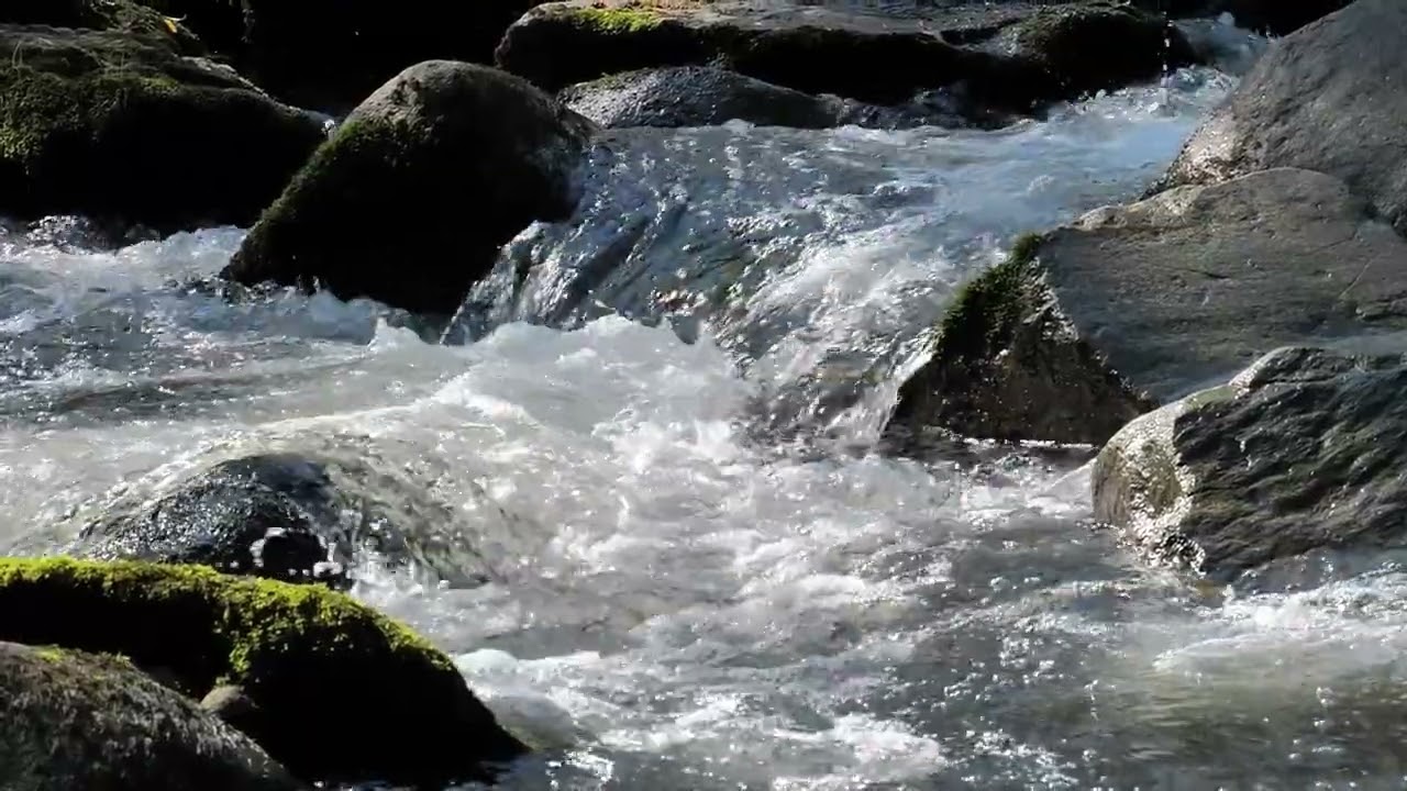 Расслабляющие 4K  звуки Природы Для Отдыха | Сна | медитации |