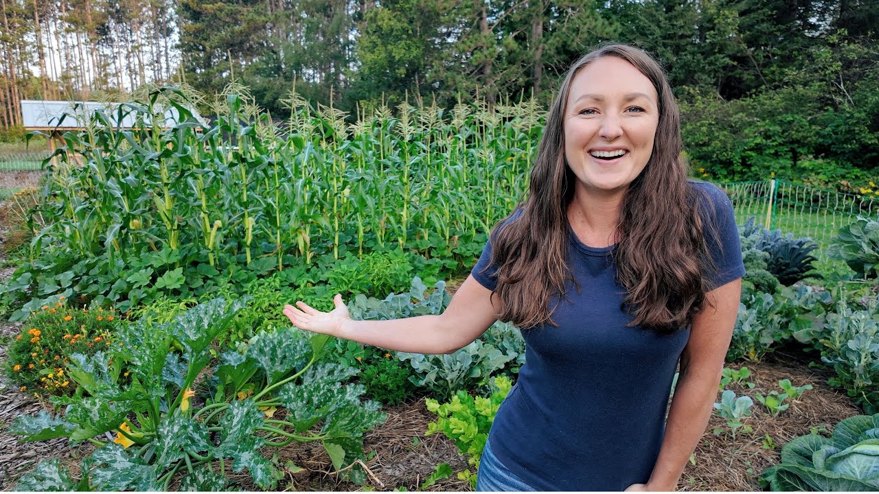 Growing My Own GROCERIES! August Garden Tour | Zone 4 Minnesota