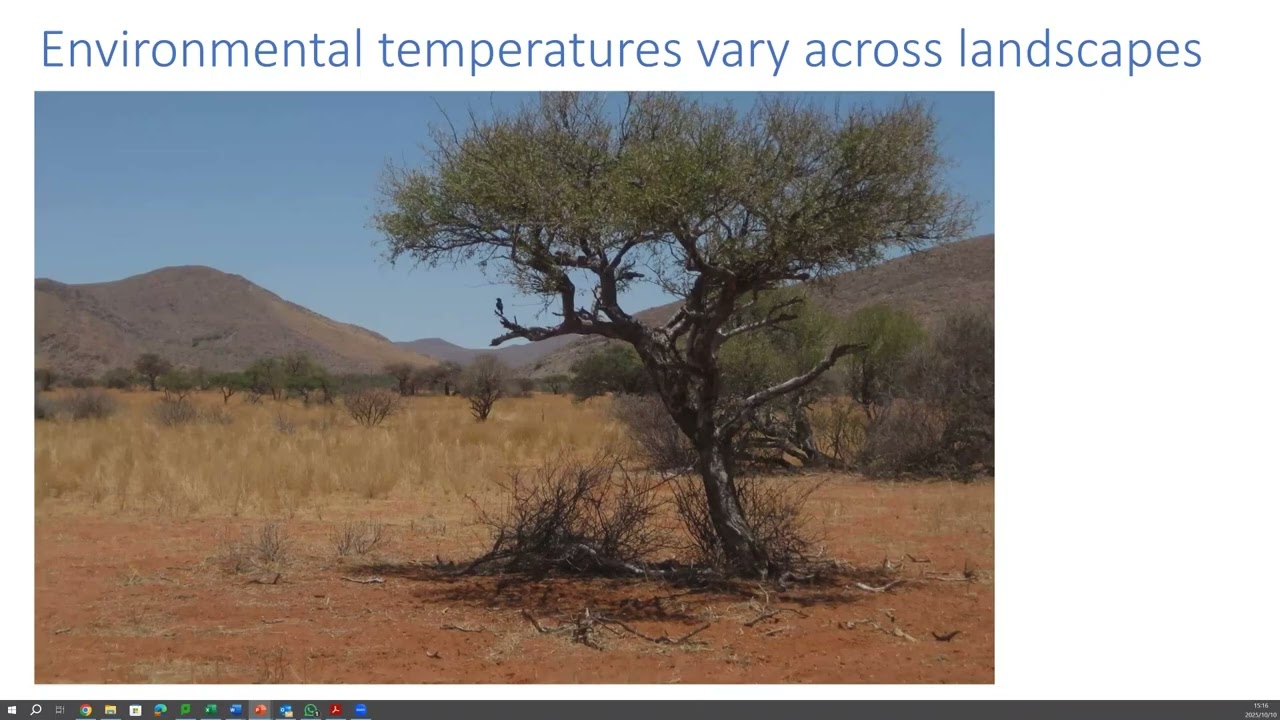 Behaviour and the impacts of climate change on birds