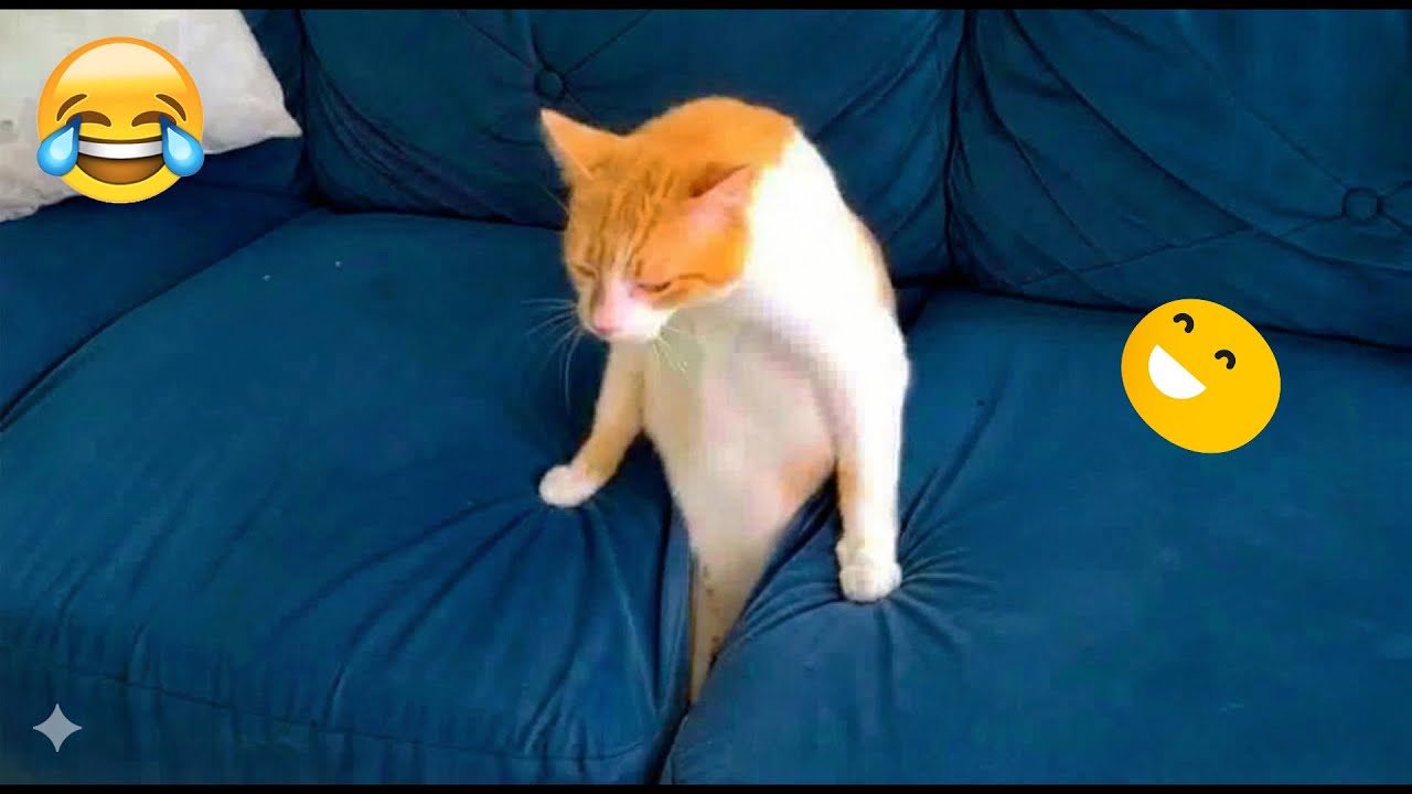 You Laugh You Lose 😝 Funniest Cats and Dogs 2026 🐕‍🦺💚 Part 27