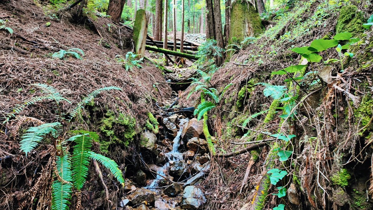 Relaxing Nature Sounds - 25 min. Calming Sounds of Water, White Noise, Sleep, Study, Meditation