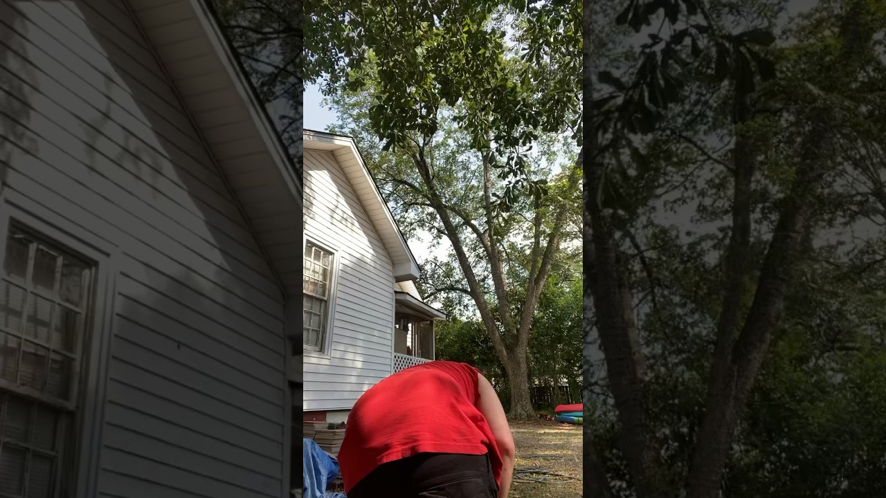 ￼ Showing off my Texas chainsaw, masker chainsaw, old-school muscle saw Poland 3400 counter Vive￼ ￼