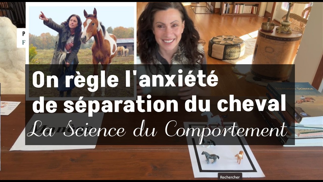 Comment RÉGLER L'ANXIÉTÉ de SÉPARATION chez le cheval - Technique