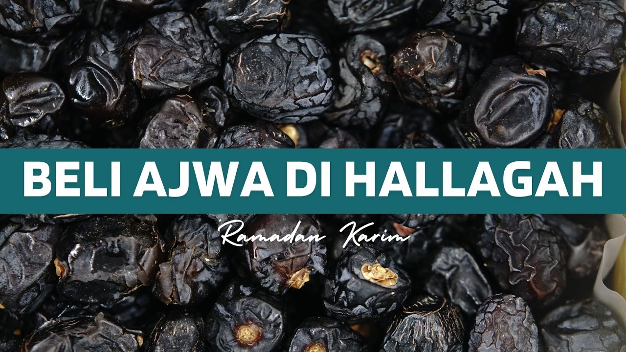 Belanja Kurma Ajwa di Hallagah Safa 🌴 | Kurma Favorit dari Madinah