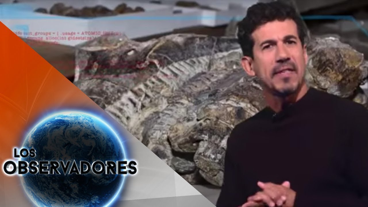 Paleontología en México