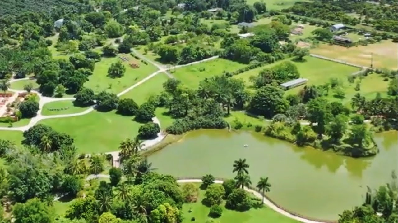 Fruit & Spice Park: One-Of-A-Kind Botanical Garden