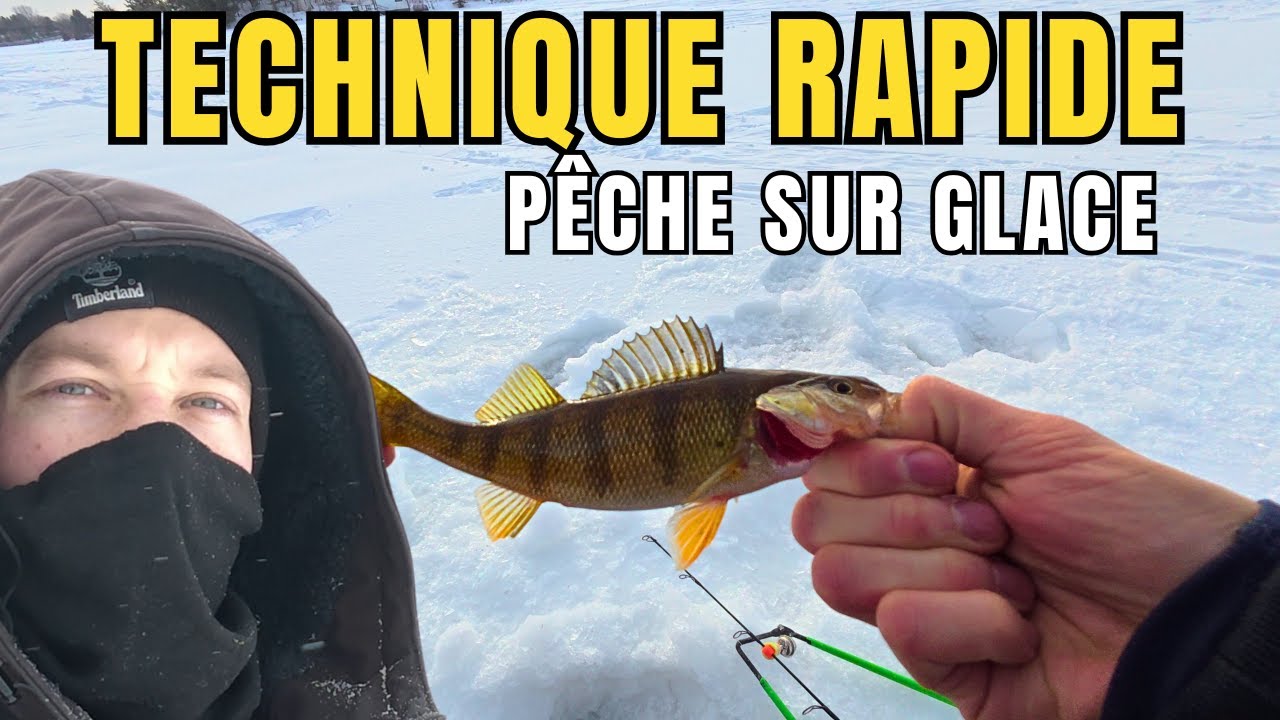 Pêche sur glace : Comment trouver le poisson rapidement ? Perches au rendez-vous !