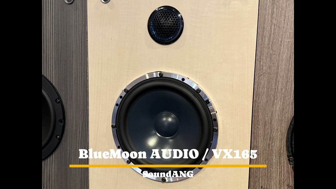 SoundANG試聴サンプル【BlueMoon AUDIO/VX165】