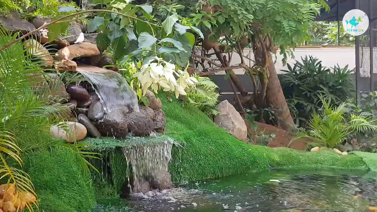 ഞങ്ങളുടെ Aviary യിലെ beautiful fish pond design...