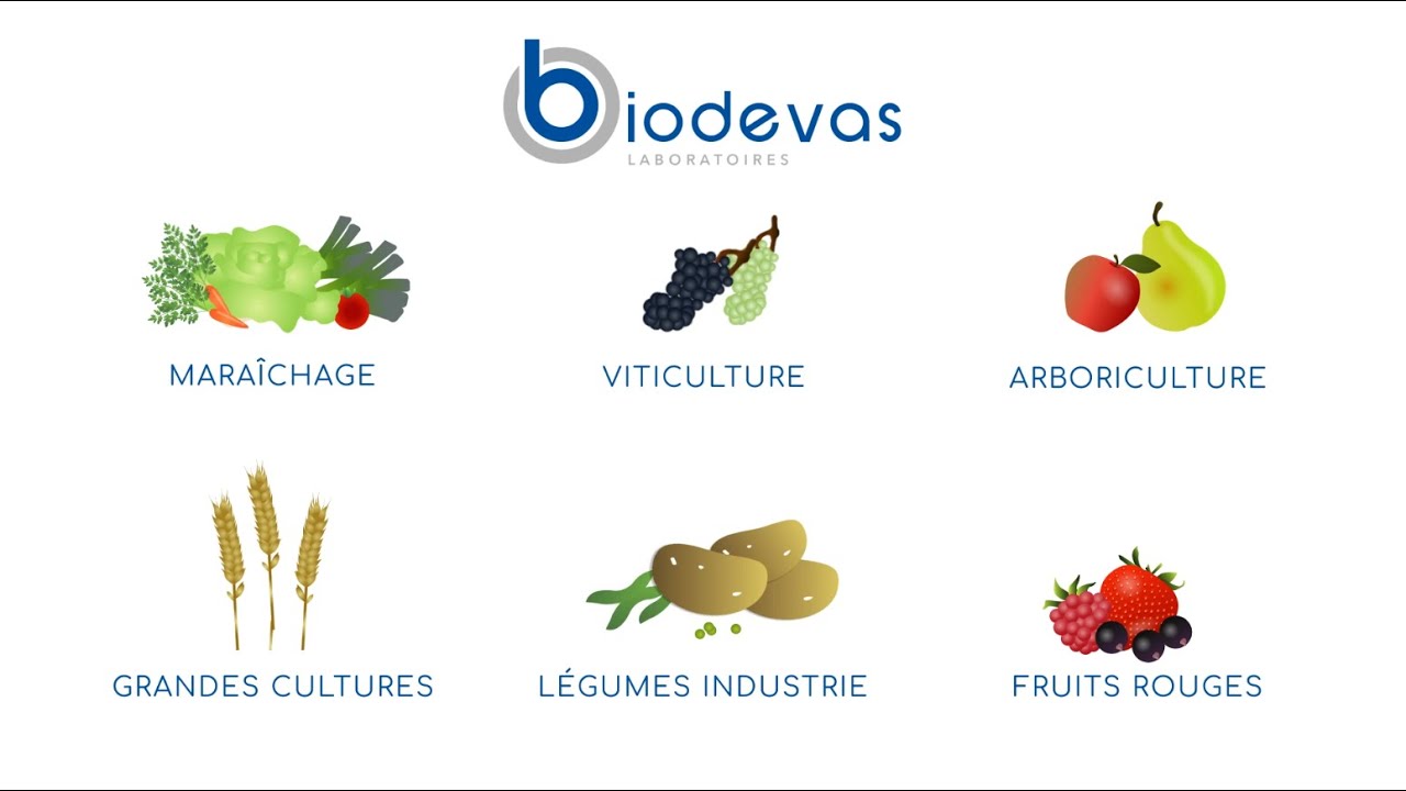 Pr&eacute;sentation du p&ocirc;le V&eacute;g&eacute;tal de Biodevas Laboratoires