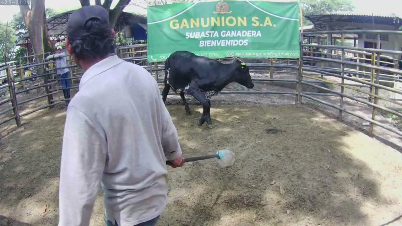 Lote Nro. 254