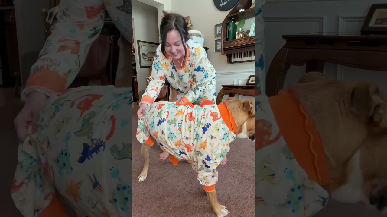 Matching Dog & Owner Pajamas 🐶🦖 | LovinPet Large Dog Pajamas Review