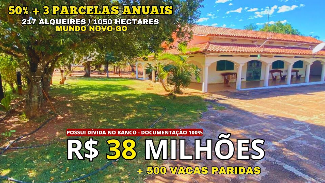 Fazenda de 1050 HA à venda em Mundo Novo no Goiás com 500 Vacas paridas por 38 Milhões e divide!