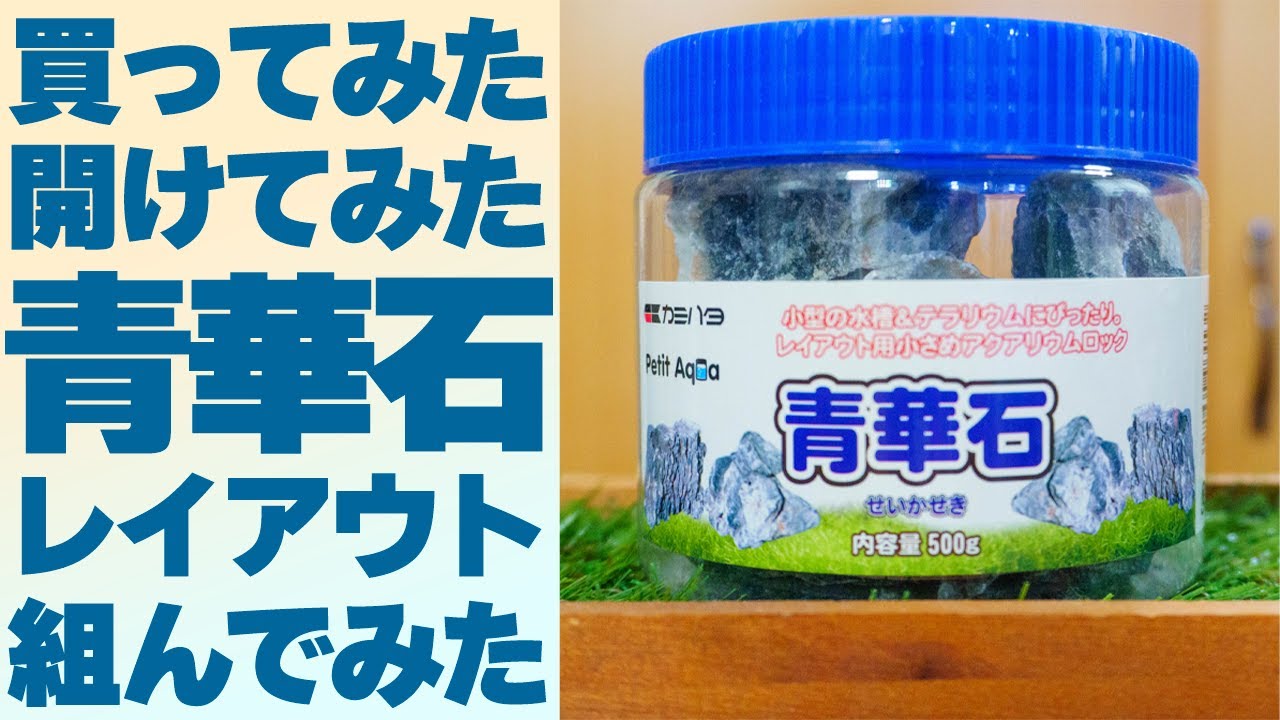 全部で○○個入り！小型水槽ボトルアクアにも水草水槽にも使える「カミハタプチアクアの石・青華石」ネットで買える青華石も紹介します #アクアリウム 【ビバアクア】