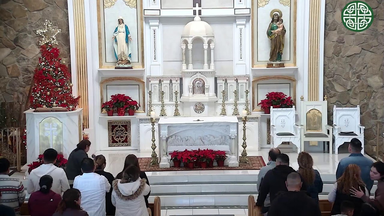 Solemnidad de María Santísima, Madre de Dios 01/01/2026