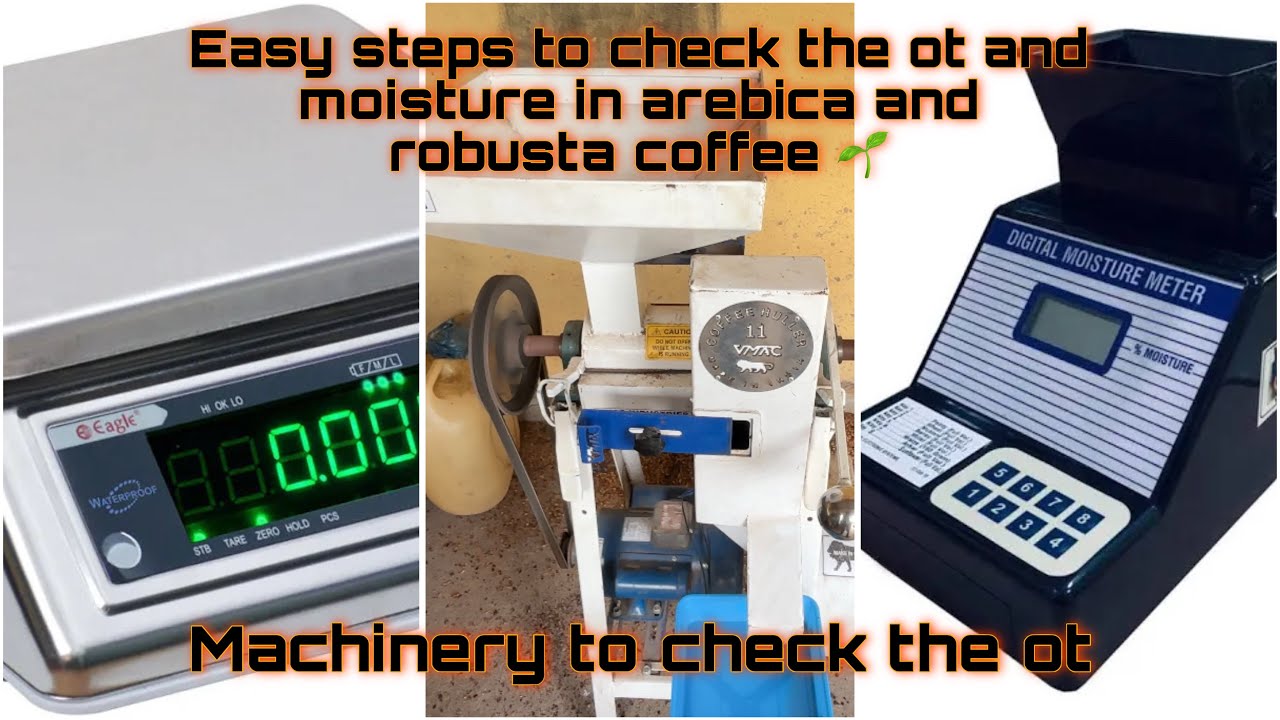 Easy steps to check the ot and moisture in coffee to get a premium price 🌱 and how to check the ot 🌱