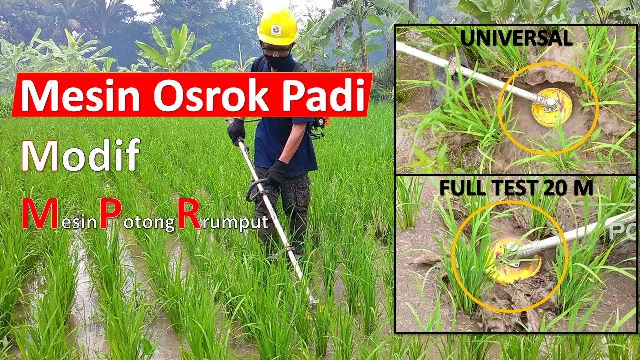 Mesin Osrok Padi Penyiang Gulma Modifikasi Mesin Potong Rumput