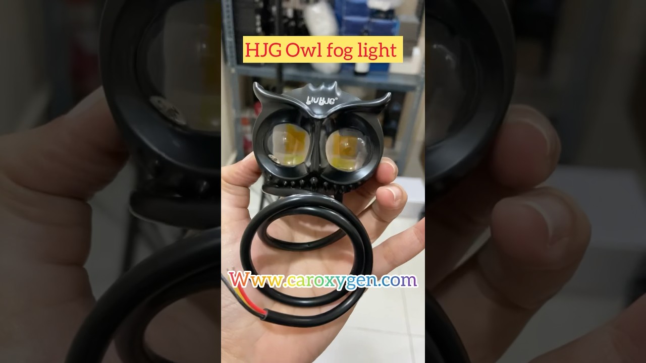HJG Owl Fog light ☎️8287789440 #foglights #owlfoglight #foglamp #carlights #caroxygen