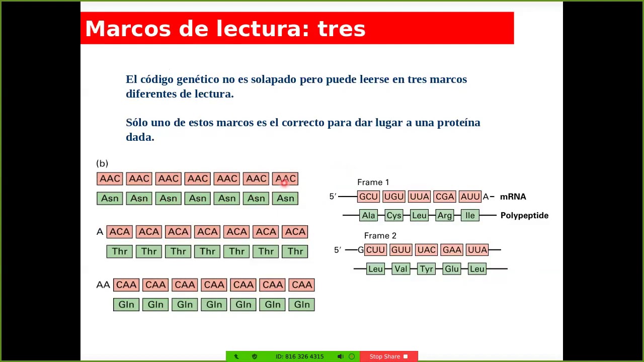 C&oacute;digo Gen&eacute;tico - Parte1