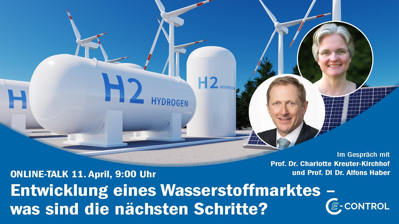 Online Talk "Entwicklung eines Wasserstoffmarktes - was sind die nächsten Schritte?"