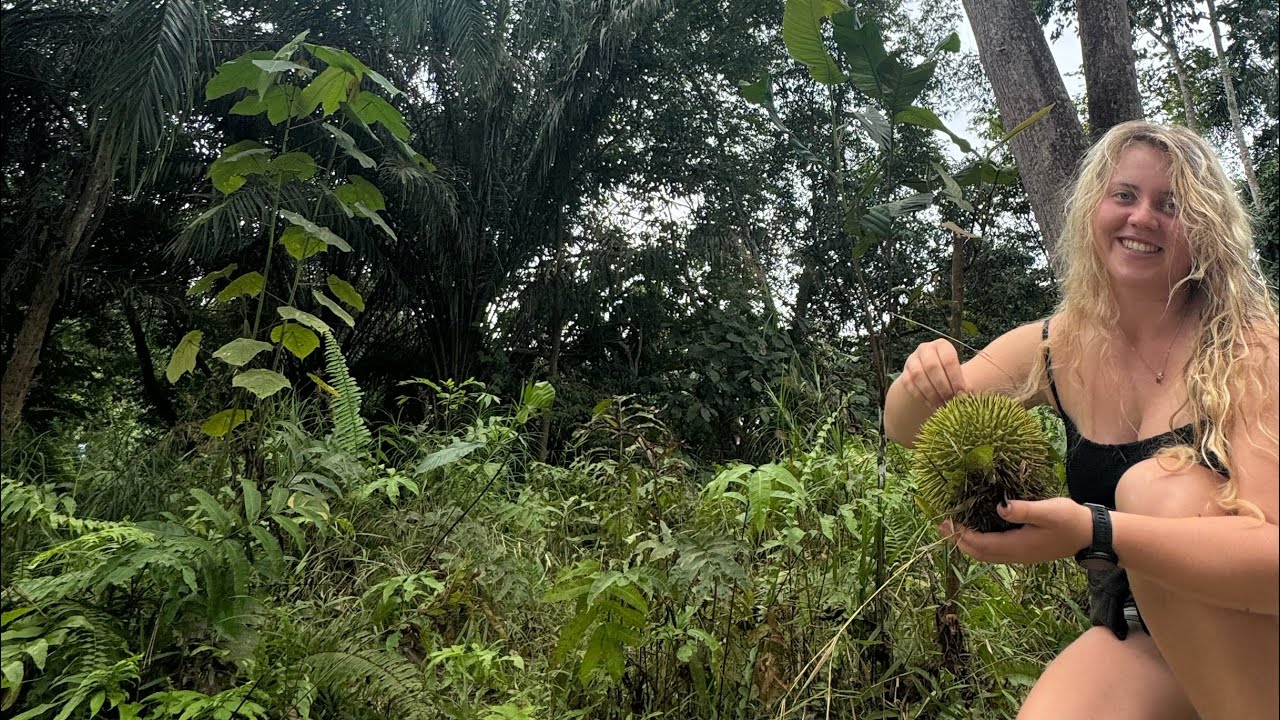 Durian Farm Exclusive Tour Borneo Sarawak