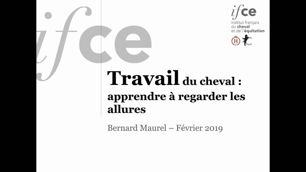 Travail du cheval  apprendre a regarder les allures - Bernard Maurel