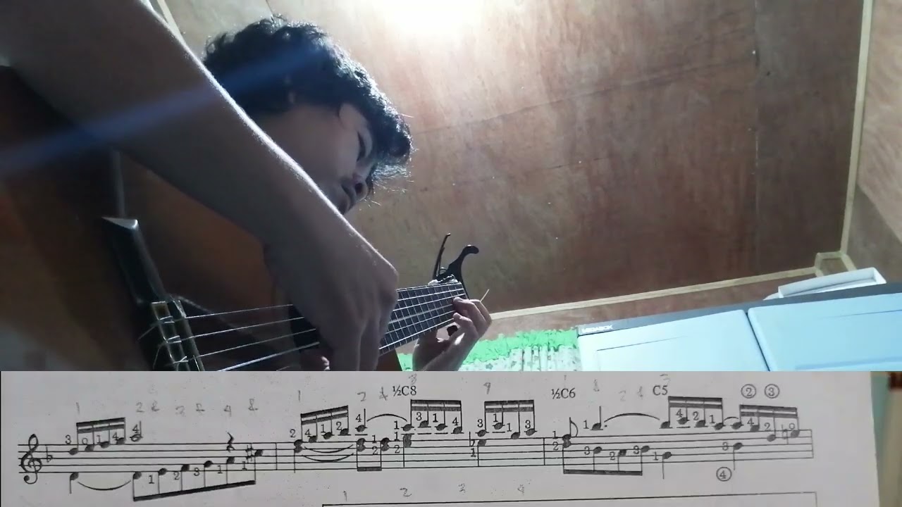 Serenata Morisca - Agustin Barrios