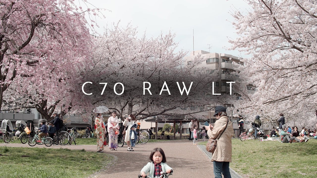 CANON C70 RAW LT Sakura in Tokyo