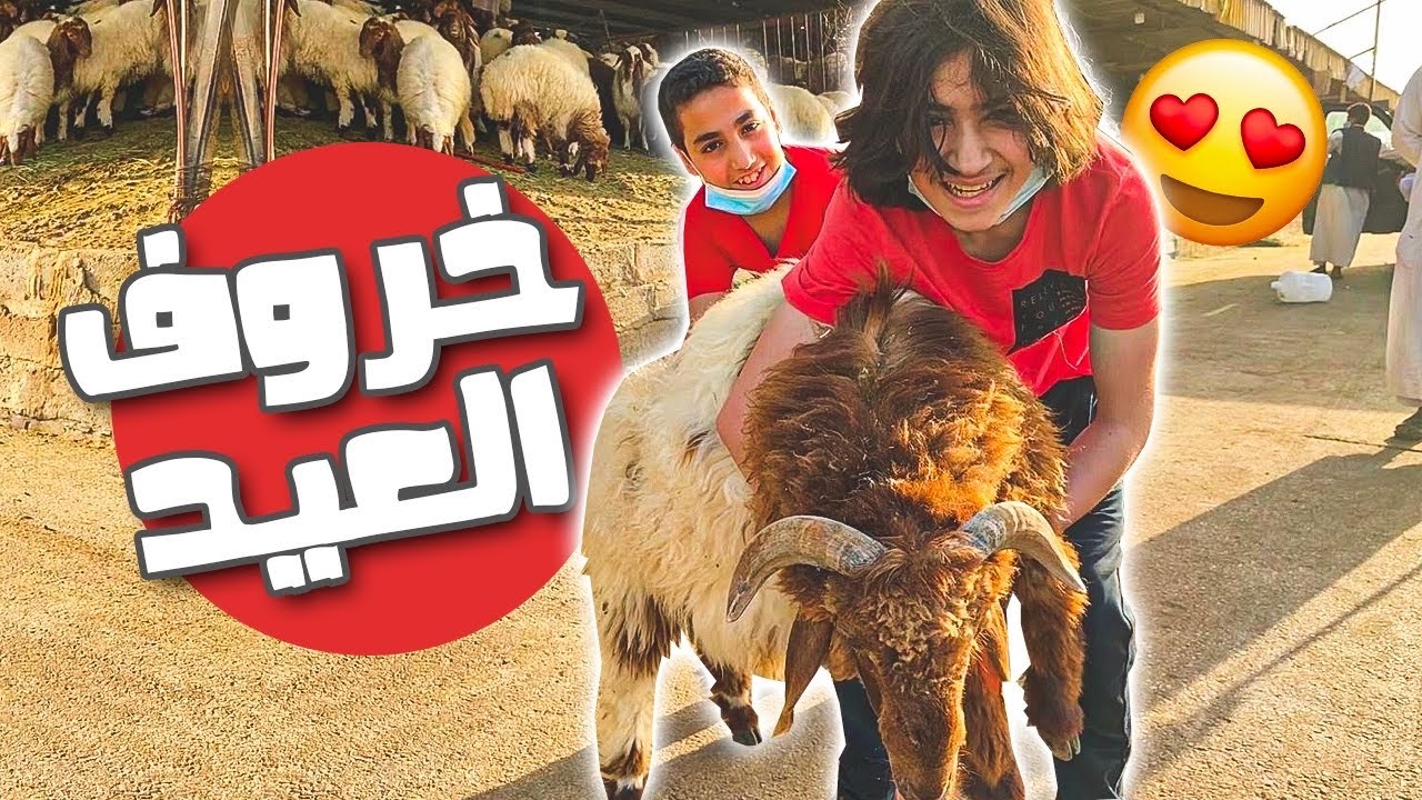 شرينا خروف العيد 🐏 🤗 - || فلوق عيد الاضحى المبارك || ...!!