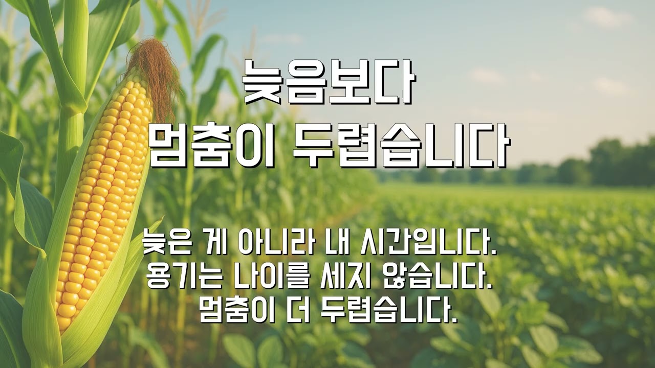 칠십도 늦지 않았습니다｜지금 시작해도 충분합니다