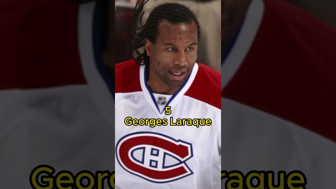 Top 7 Greatest Fighters in NHL History #shorts