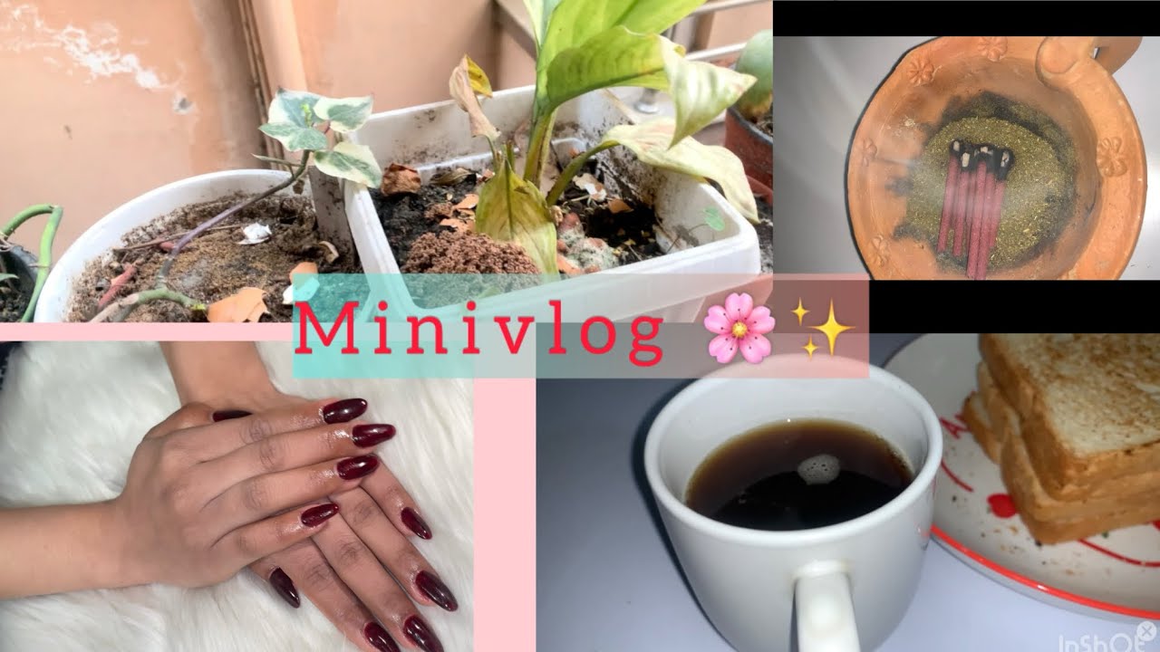Mini vanda pani mini vlog 😂🌸||Subba sona.