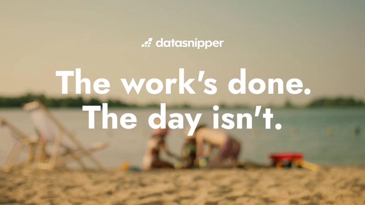 Работа сделана. А день &mdash; ещё нет. Верните себе свободное время | DataSnipper