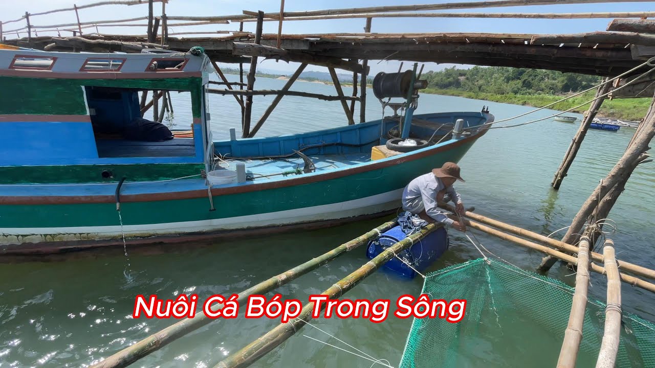 [368] Hành Trình Di Chuyển Bè Vào Cầu Gỗ Ông Cọp