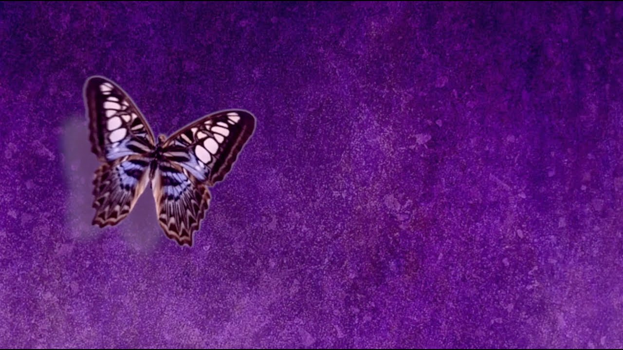 The Song of Purple Summer (Rose Bruford Actor-Musician 2020 Cast of 'Spring Awakening')