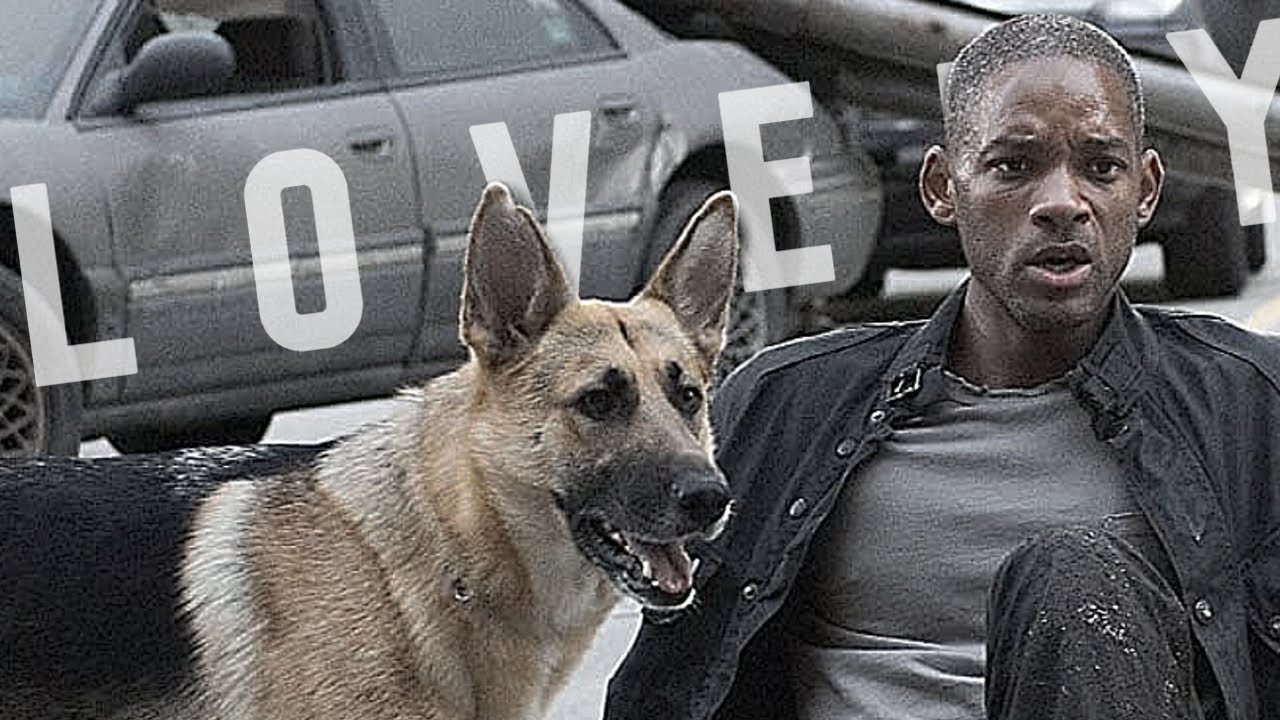 Murphy • Lovely [ I Am Legend ]