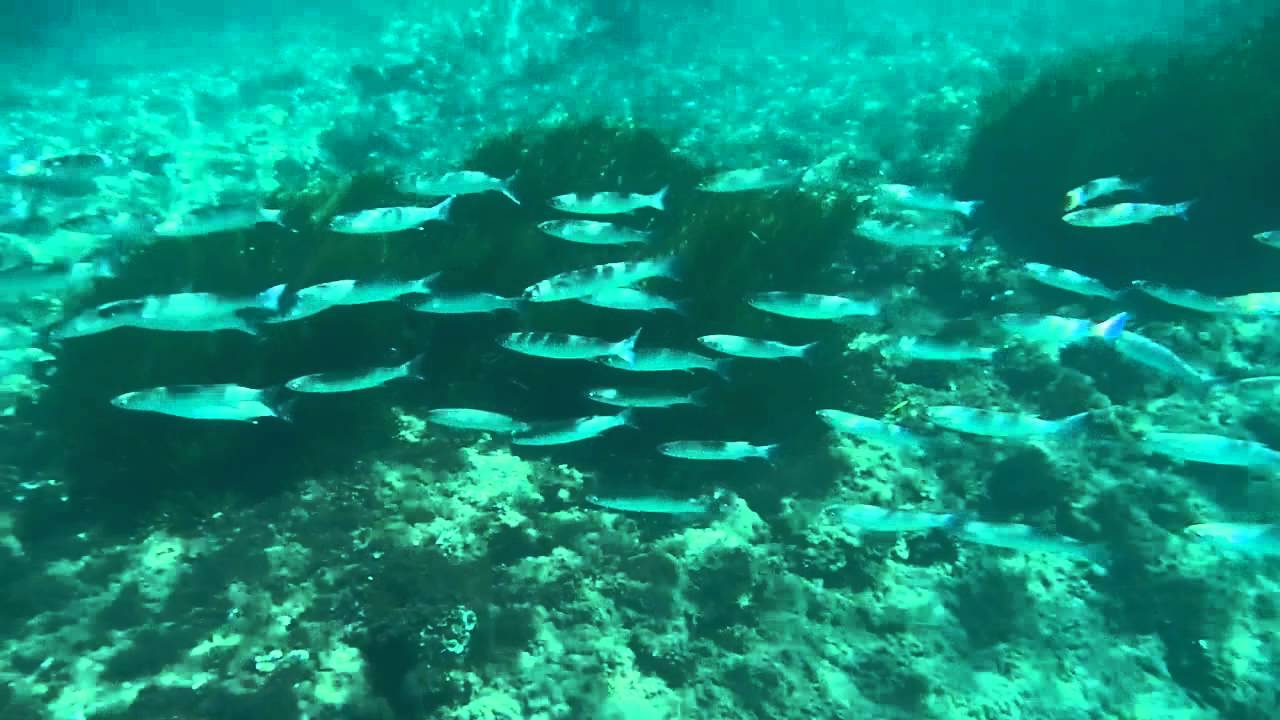 Il mare di Santa Caterina Pittinuri