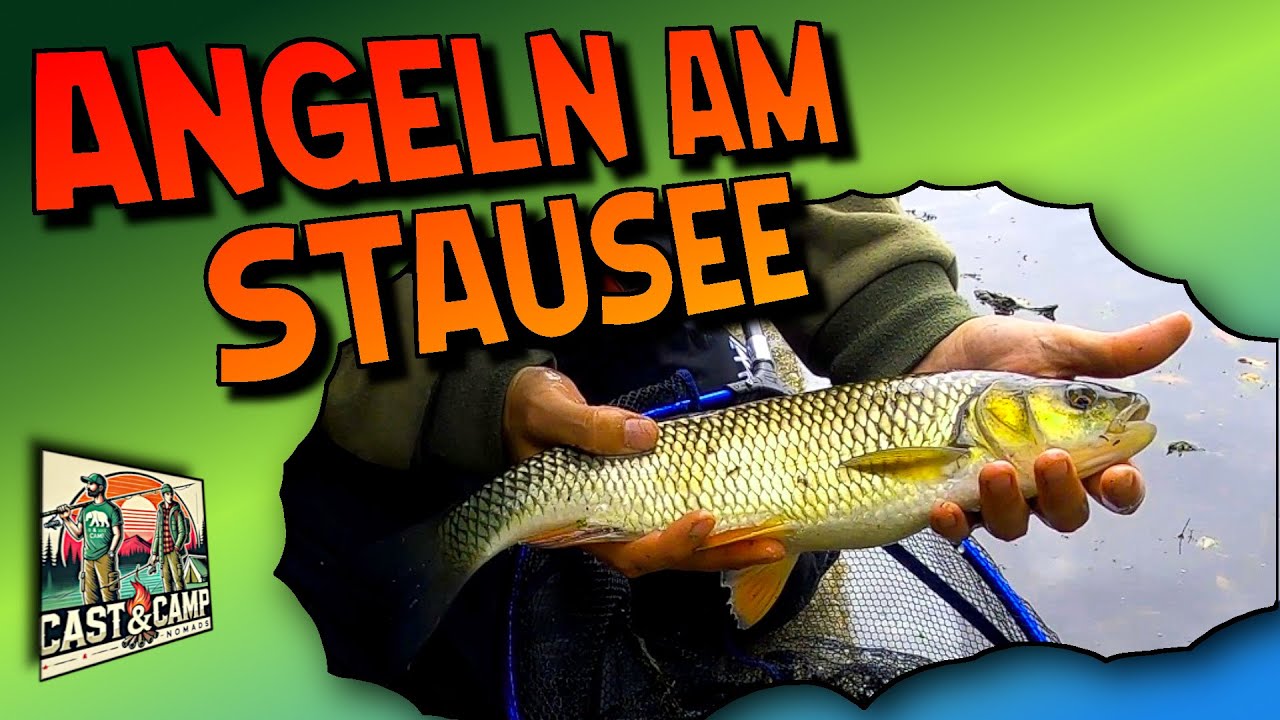 Fischen am Stausee - Hecht - Döbel - Brasse - Barsch