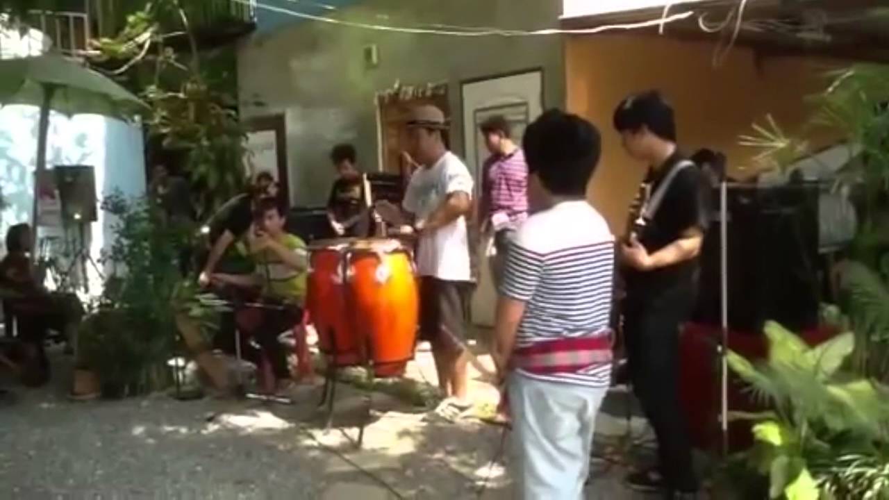 เดี่ยวซอ หงษ์ทองคะนองลำ