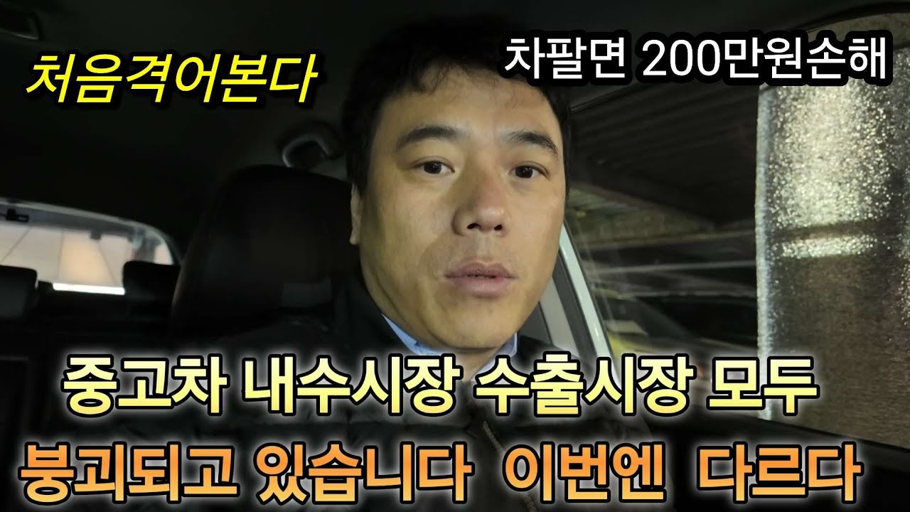중고차 내수  수출시장  이러다  다 망합니다  그래도    이런분이  손님으로 와서 힘이  납니다  감사 합니다