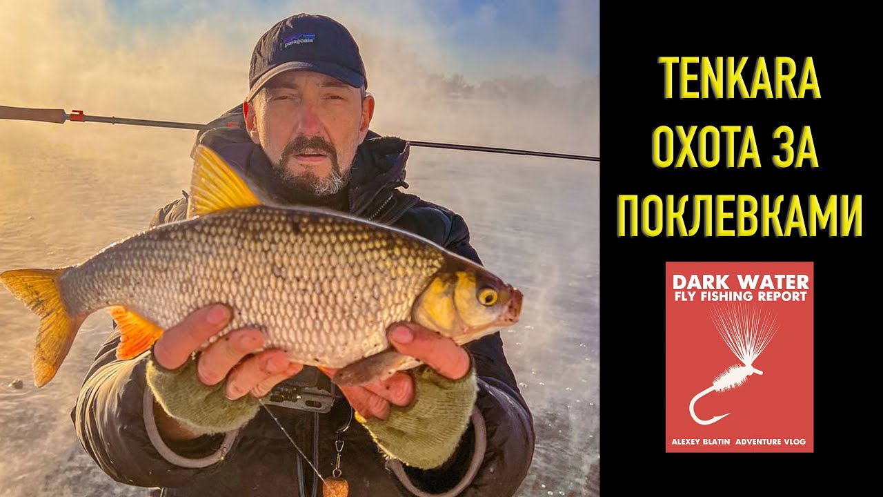 Тенкара охота за поклевками