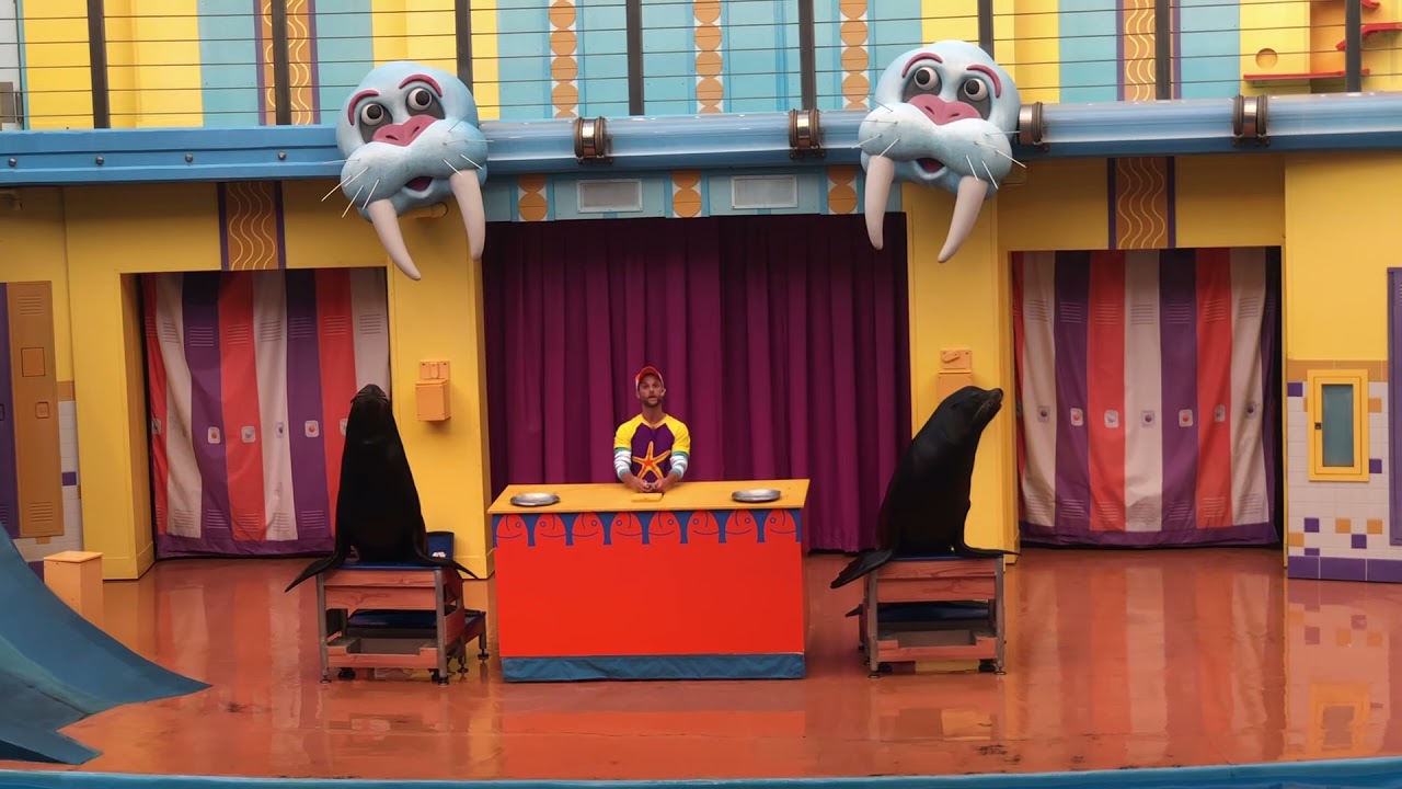 Final Sea Lion High: The New Class  (before refurbishment) May 31, 2021 7:30pm