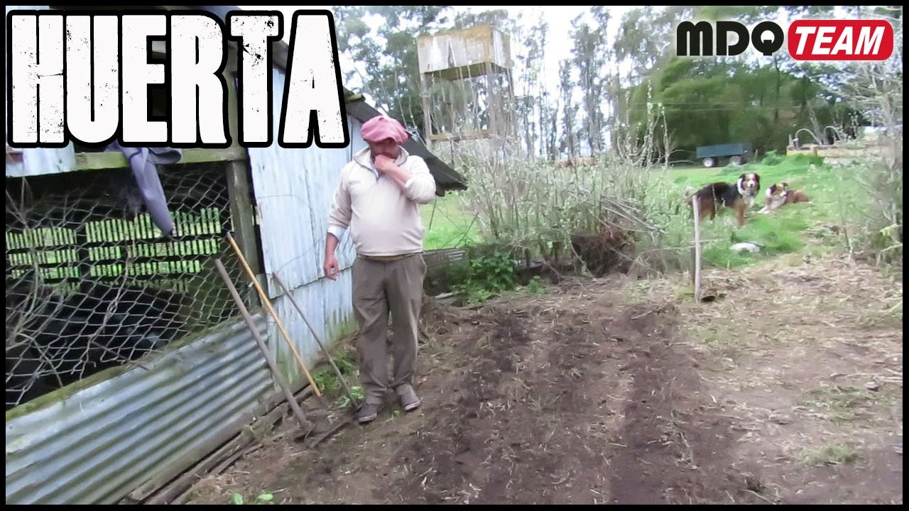 La Huerta inorganica del Peluquero