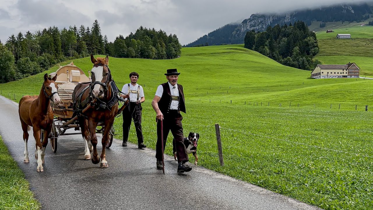 Traditional Alpine Descent with Horse and Wagon | Across Appenzell Innerrhoden, Switzerland