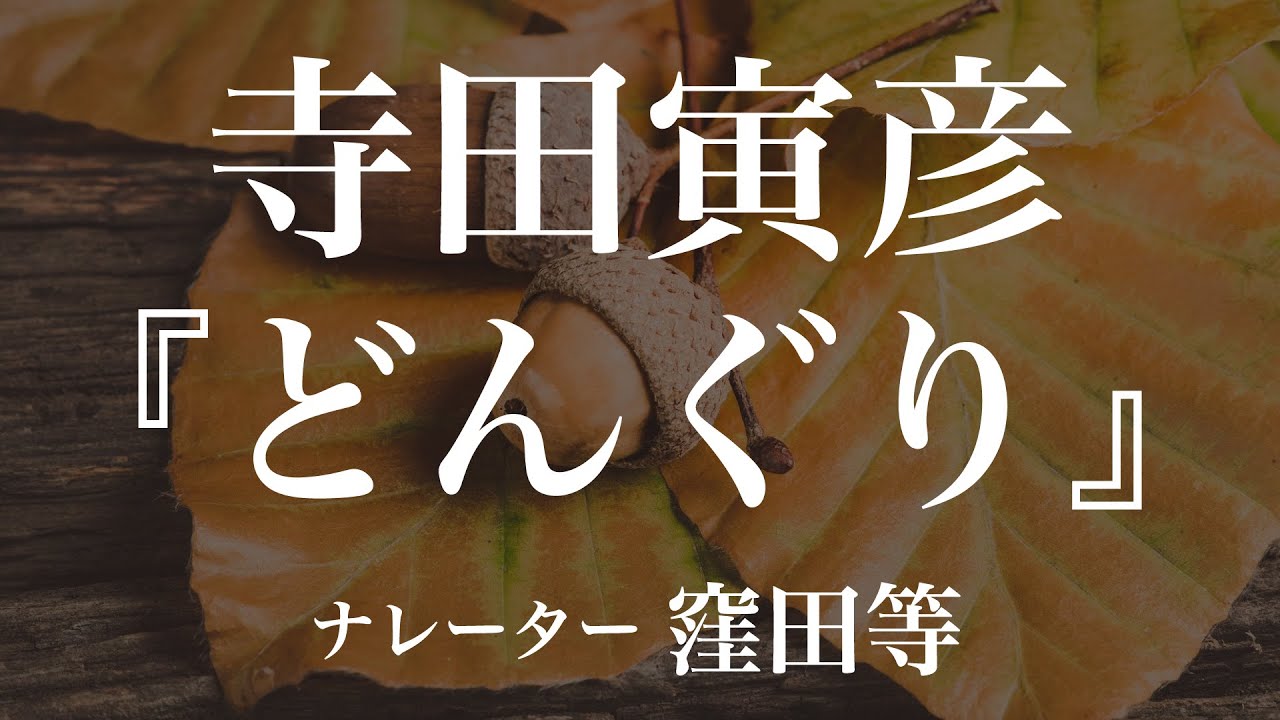 『どんぐり』作：寺田寅彦　朗読：窪田等　作業用BGMや睡眠導入 おやすみ前 教養にも 本好き 青空文庫