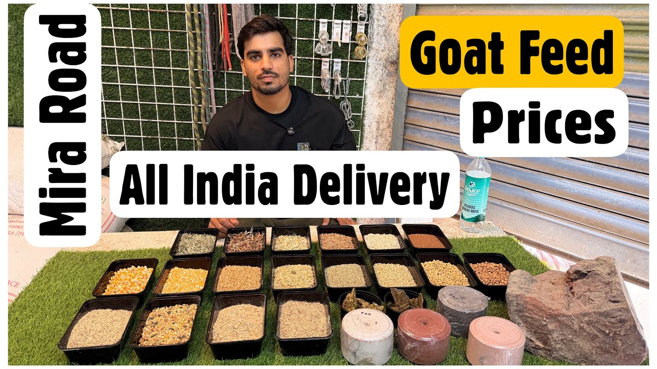 IS Agro Goat Feed, Kashimira, Mumbai | Wholesale & Retail Shop