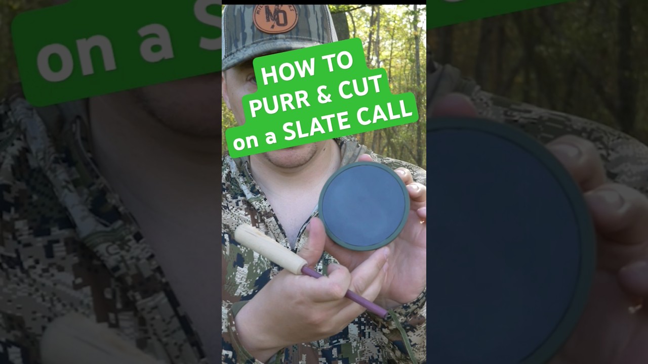 How to PURR and CLUCK on a SLATE Turkey Call (Easy Tutorial)#Turkeycall #shorts #callingtips #hunt
