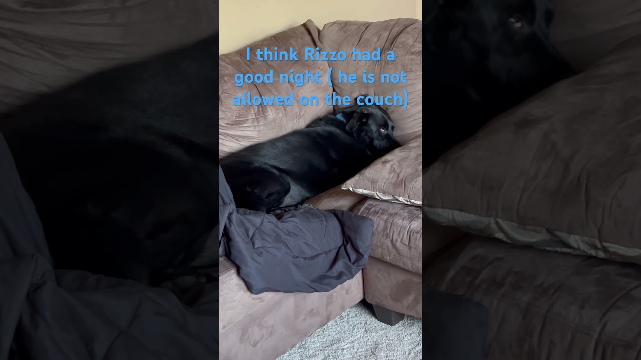 POV what I see when Rizzo wakes up